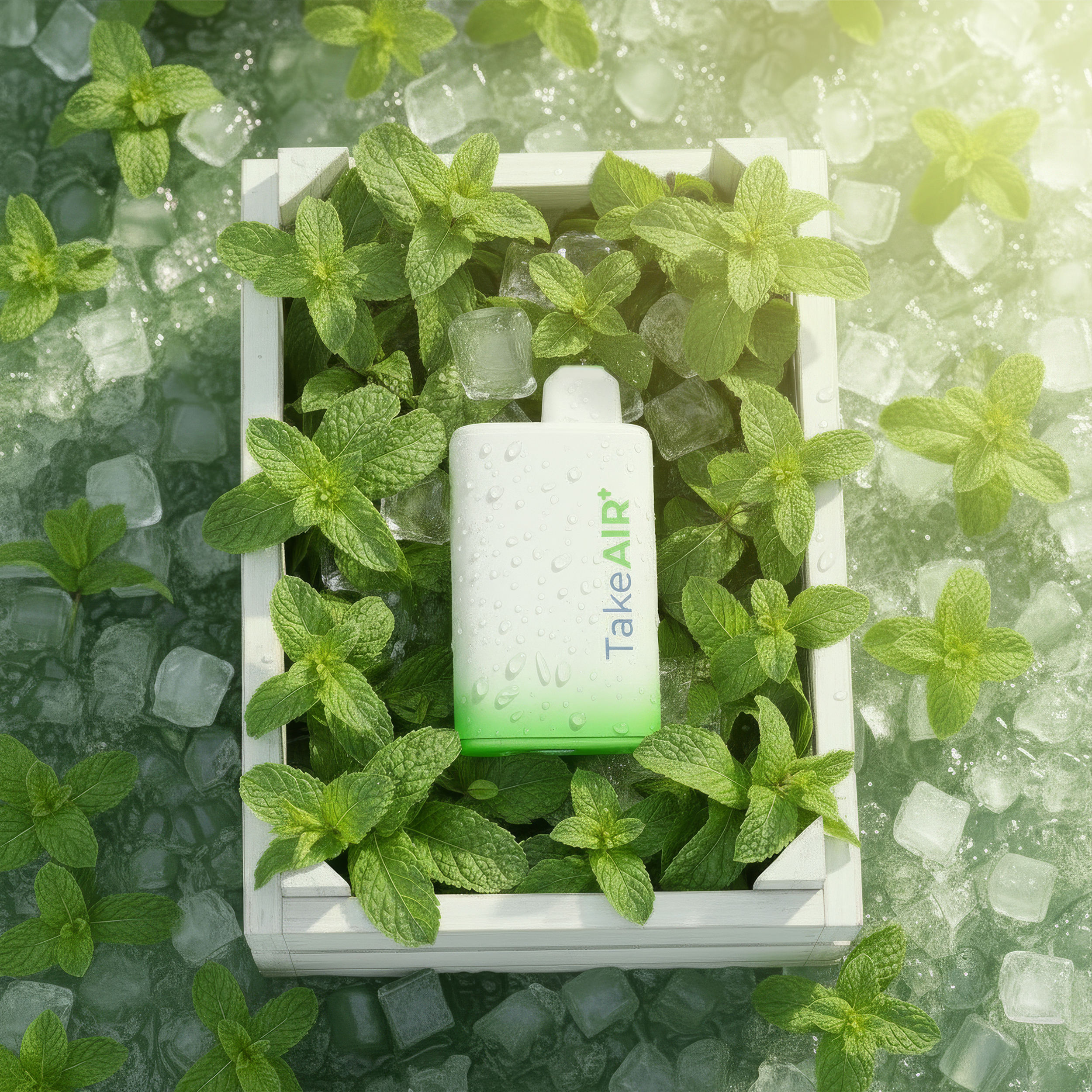 Mint